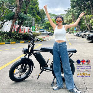 Nuevo diseño VOMO C80 Fatbike 250 vatios 48V Electric Fat Tire EBike 20 pulgadas Vintage E-Bike EU Warehouse Electr Bike Precio - Product Image 4