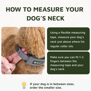 Collar GPS SpotOn para Perros, Color Gris, Rastreador de Mascotas con Seguimiento en Tiempo Real - Product Image 6
