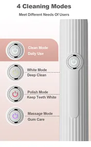 Dual Clean Logo Customize Smart Sonic Electric Toothbrush Oscillating For Men And Women Adult Best Prices