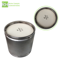 Auto Parts Exhaust System Catalytic Converters DPF Filter Richer Brand Euro VI Diesel for Engine Truck Catalyst Carrier