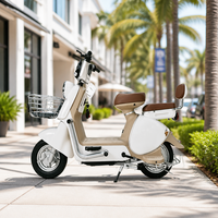 Scooter électrique élégant et écologique pour femmes et hommes, longue autonomie, cyclomoteur électrique portable pour les déplacements urbains, prix d'usine