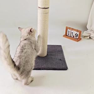 Árbol para Gatos Moderno y Sencillo, Torre de Lujo con Poste Rascador Básico, Correa de Sisal y Bola Colgante para Gatitos - Product Image 5