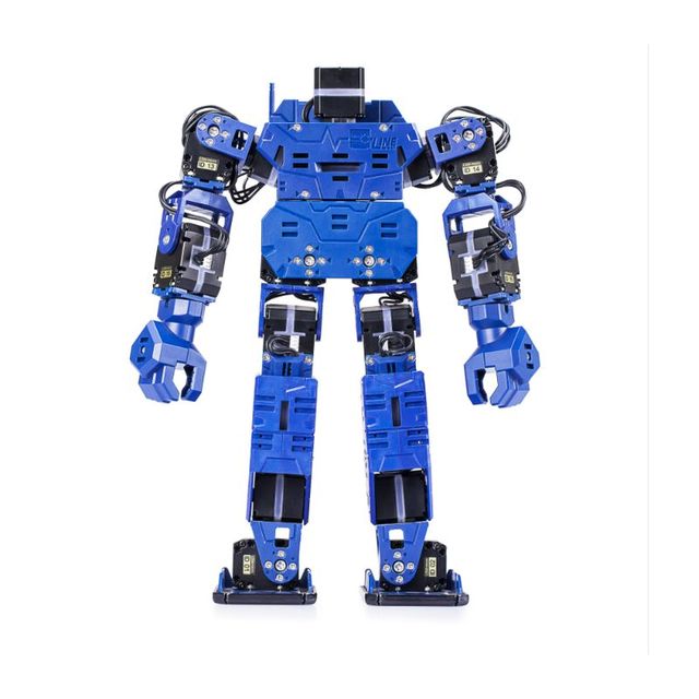 Hot Selling Item Customized Plastic Children's Christmas Gift White Black Humanoid Biped Robot