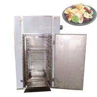 Nouveaux produits commerciaux Machine de séchage de gaz au propane liquide Plateaux de tranches de tomates papaye persil estragon
