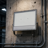 Projecteur LED étanche IP65 pour extérieur avec télécommande et capteur de détection