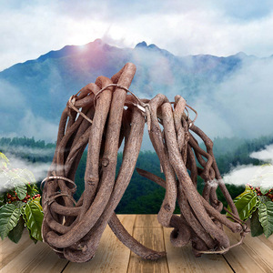 เถาวัลย์ตกแต่งซินเล่ย์ 5 เมตร หนาแน่น สไตล์ธรรมชาติ สำหรับตกแต่งสวน - Product Image 1
