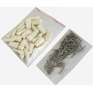 Dientes permanentes dentales con raíces rectas Anatomía Corona - Product Image 1