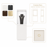 Vitrine de présentation pour bijouterie, cadre métallique sur mesure, base en bois, verre trempé, vitrine LED, équipement de vente en gros