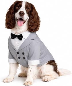 Wholesale Halloween Pet Costumes with Black Bow Tie <b>Cat</b> Costumes for Dogs Suit Wear Outfit Dog <b>Clothes</b> Custom Pet Costumes - Product Image 2