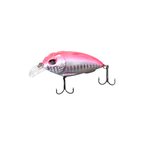 Cebo Vivo para <span class=keywords><strong>Carpa</strong></span> <span class=keywords><strong>de</strong></span> 55 mm y 12 g, Cebo <span class=keywords><strong>de</strong></span> Fondo <span class=keywords><strong>de</strong></span> Plástico con Anzuelos, Impermeable, Impreso, para Pesca en Barco y Río - Product Image 2