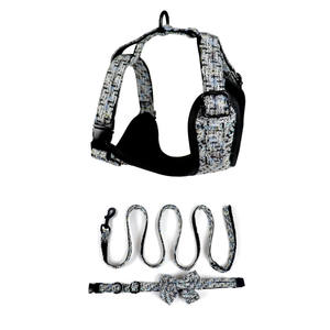 Arnés de lujo para mascotas 2024 para perro, arnés de terciopelo de peluche <span class=keywords><strong>Sherpa</strong></span> personalizado, conjunto de correa de arnés para perro de diseñador personalizado con <span class=keywords><strong>Collar</strong></span> de correa - Product Image 1