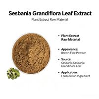 Poudre d'extrait de feuille de Sesbania Grandiflora, extrait de feuille standardisé, poudre fine brune, vente en gros en vrac