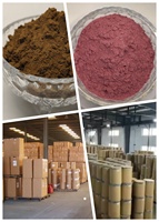 Vente en gros meilleur fournisseur acide poudre tannique Cas 1401-55-4 40% prix de l'acide tannique