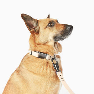 Nuevo estilo personalizado ajustable hebilla de liberación rápida, impermeable de PVC de vinilo collares de perro a granel - Product Image 5