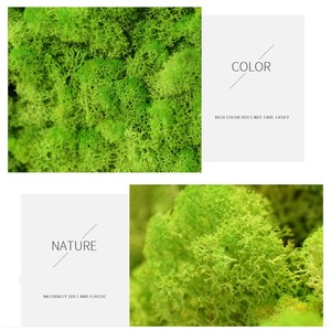 Plantes vertes artificielles de haute qualité pour décoration murale et aménagement paysager en arrière-plan - Product Image 3