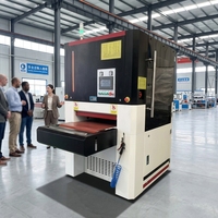 Machine à polir en acier inoxydable pour le finissage des surfaces en tôle