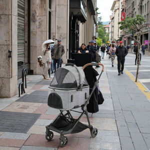 Çıkarılabilir taşıyıcı yıkanabilir seyahat <span class=keywords><strong>Pet</strong></span> dişli ile 3-in-1 hafif kumaş köpek ve kedi arabası - Product Image 6