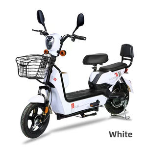 <span class=keywords><strong>Vélo</strong></span> <span class=keywords><strong>Électrique</strong></span> Urbain 48V 350W 20AH Économique avec Batterie au Plomb-Acide et Pédales - Product Image 5