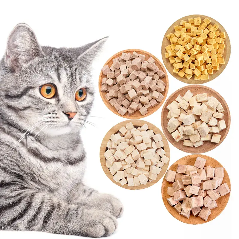 Best price Dry cat food pet dry food cats like food