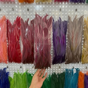 Lot de 50 Plumes de <span class=keywords><strong>Coq</strong></span> Teintes sur Mesure en Gros pour la Confection de Costumes de Carnaval et les Spectacles Scéniques - Product Image 1