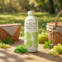 Nihewan Mint & Amla Vier Seizoenen Oolong Thee Importeur OEM ODM Formuleontwikkeling Drankproducent
