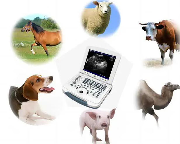 Dawei MU10VET 12.1" LED Veterinary Ultrasound Scanner for Cattle Sheep Pig Dog Cat