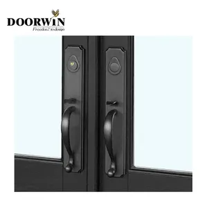 Doorwin Custom USA Villa Modern Design Exterior Solid Wood Main Entry French Door Pivot Entry Doors For House