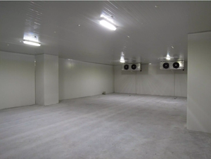 Nueva cámara frigorífica a prueba de explosiones para el almacén de mantenimiento fresco para verduras, frutas, carne, mariscos, compresor Copeland de 380V - Product Image 3