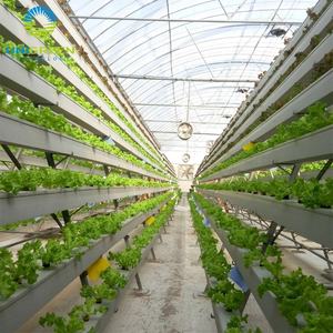 Serre <span class=keywords><strong>de</strong></span> culture hydroponique hydroponique, bambou, système agricole - Product Image 3