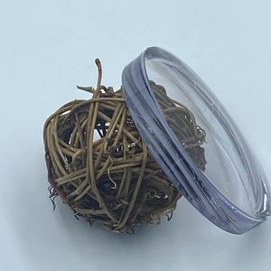 사진 회색 1.59 PC 진행 PGX HC 광학 렌즈 단일 비전 광변색 폴리 카보네이트 <span class=keywords><strong>HMC</strong></span> 만든 CR39 플라스틱 수지 - Product Image 5