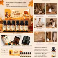 Ensemble d'huiles essentielles d'aromathérapie d'automne 6x10ml, huiles parfumées, coffret cadeau pour diffuseur de spa à domicile