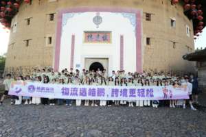 DHL Express Versandagentur per See/Luft von China in die USA, Kanada, Großbritannien, Australien Luftfracht-Spediteure - Product Image 6