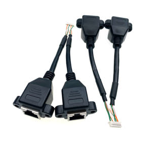 Kustom 2 in 1 kabel RJ45 Female ke Molex 51021 1.25mm Pitch 9P USB kabel ekstensi Rakitan - Product Image 3