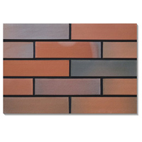 Brique d'isolation thermique en céramique, carreaux muraux décoratifs pour décoration murale