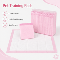 OEM ODM Tapis d'apprentissage jetables pour chiens, haute absorption, anti-fuite, pour chiots, usage domestique, en cage et en voyage