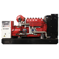 Meilleur prix pour générateur au gaz naturel 75 kW, 100 kW, 120 kW, 150 kW, équipement Genset GPL, GNC, GNL avec 50/60 Hz pour solution d'alimentation de secours domestique
