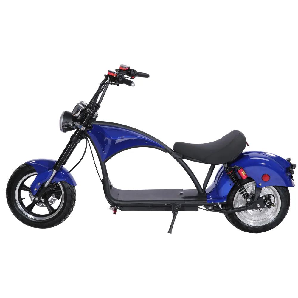 1000 Watt 1500 Watt 2000Watt Beste Oem Elektrische Motor Fiets Te Koop (YHZ-EM-02-01-01)