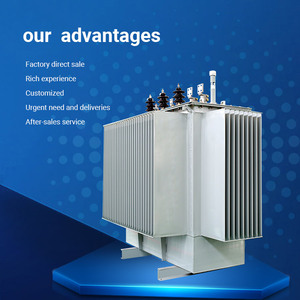 Proveedor Chino de Transformadores de Distribución Trifásicos de 11kv 1600kva 2000kva, Sumergidos en Aceite, para Plantas de Biogás y Electrificación Rural - Product Image 5