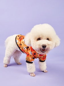 FishPrincess Pet cadılar bayramı noel fantezi köpek kostümleri komik kediler parti giyim köpek cadılar bayramı Pet giysi - Product Image 6