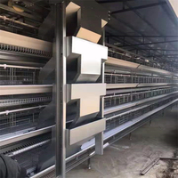 Cage de poulet double couche, équipement agricole avec Design de maison de poulet