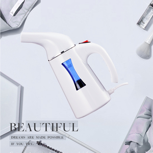 Ferro da Stiro a Vapore Verticale Professionale OEM ODM 180ml per Abbigliamento - Product Image 5