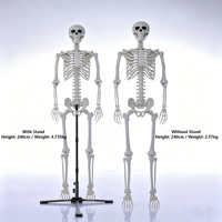 Squelette géant d'Halloween en gros, 2,4 m/240 cm, taille réelle, corps humain entier, articulations mobiles, accessoires pour maison hantée, fête d'Halloween effrayante