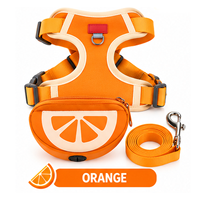Harnais et laisse pour chien à imprimé fruits mignons, ensemble gilet respirant en maille douce à enfiler, fabricant OEM sur mesure