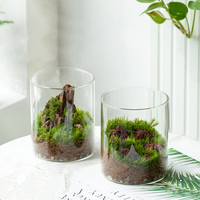 Vas Bunga Terrarium Kaca Silinder Klasik - Dekorasi Rumah Ramah Lingkungan Kualitas Premium untuk Pernikahan atau Hadiah