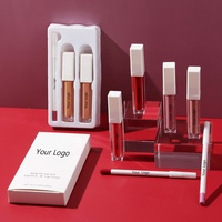 Kit de maquillage pour les lèvres 3 en 1, marque privée, mat, sans cruauté envers les animaux, imperméable, crayon à lèvres et brillant à lèvres