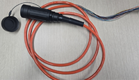 Cables de Conexión para Instrumentos Personalizados, Cable de Aproximadamente 32 Pines con Conectores Banana, Enlace de Pago del Producto