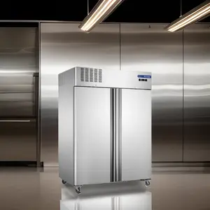 Furnotel-equipo de refrigeración comercial, doble puerta, congelador Vertical, Comercial