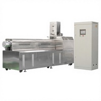 Extrudeuse bivis pour usine de riz nutritionnel FRK, ligne de traitement du riz fortifié, sécheur à four électrique et à gaz