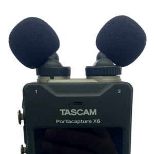 ที่คลุมไมโครโฟนขนสัตว์เทียมกลางแจ้งลายตั๊กแตนตำข้าวฟ้าที่คลุมกระจกบังลมโล่สำหรับทัสแคม DR07 DR40X X6ตัวกรองป๊อป X8 - Product Image 6