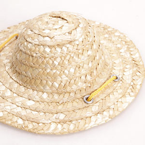 Spot Hersteller Retro Haustier Bauer Hüte Zubehör Katze Sonnen hüte Katzen und Hunde Strohhüte Katze Kostüm Kopf bedeckung - Product Image 4